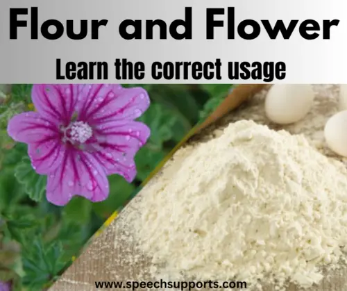 Flour and Flower